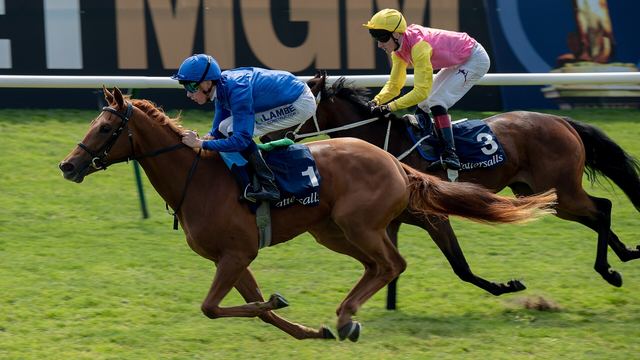 How to Read Sports Betting Odds: American, Decimal, and Fractional